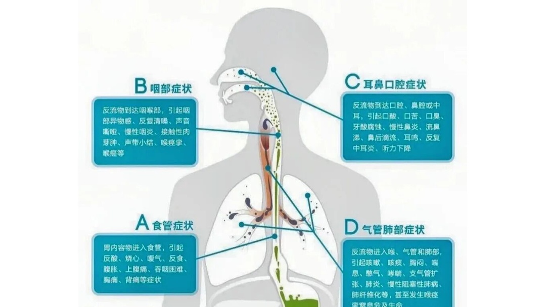 盐巴戟天的作用与功效-kaiyun